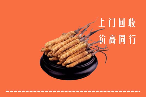 高价求购：广元市昭化区回收散虫草