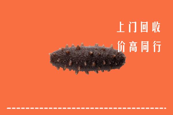 广元市昭化区回收海参
