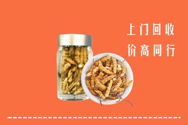 广元市昭化区回收冬虫夏草