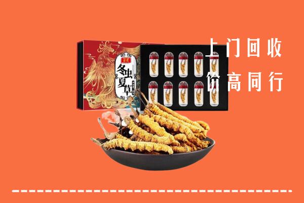 广元市昭化区回收虫草
